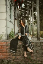 Black Beauty UNSTITCHED - Image 11